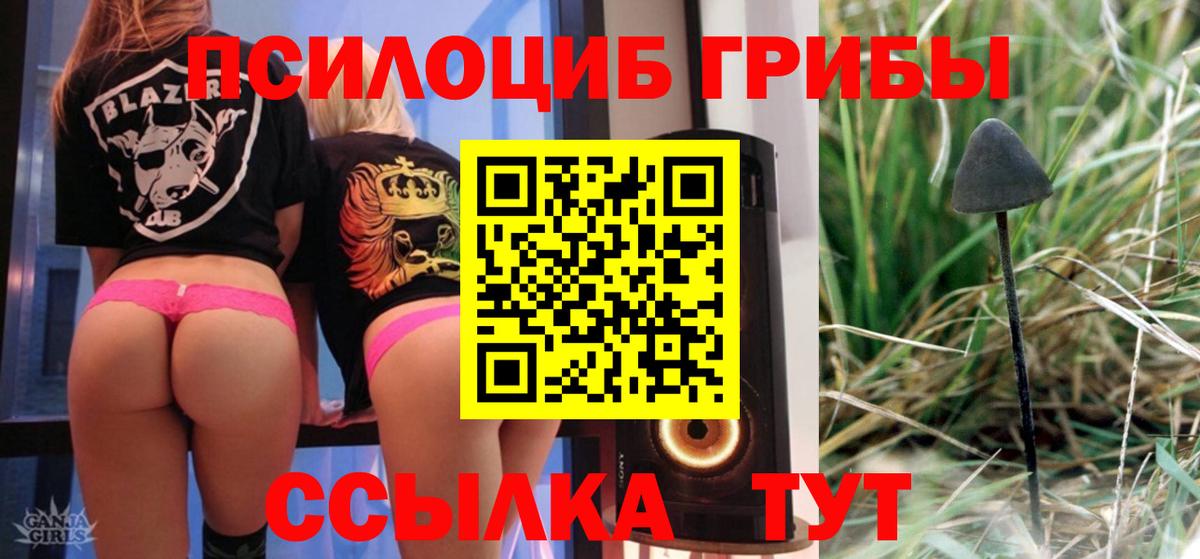 Псилоцибиновые грибы мухоморы  как найти   Вход с VPN  Сухой Лог  Галлюциногенные грибы MAGIC MUSHROOMS 